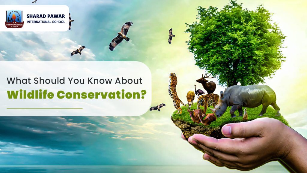Wildlife Conservation