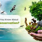 Wildlife Conservation